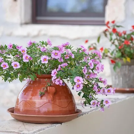 Вилла Bolios Sea View Private Pool *